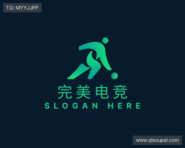 关于完美电竞