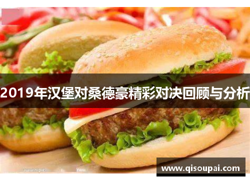 2019年汉堡对桑德豪精彩对决回顾与分析